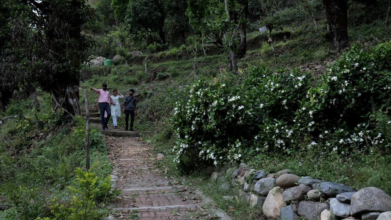 Sukoon - A Wellness Resort, Uttarakhand Chuharpur Exteriör bild